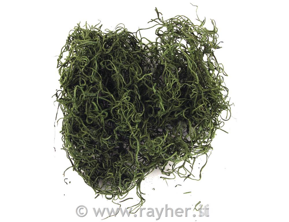 Muschio della giunglabusta 20 gverde