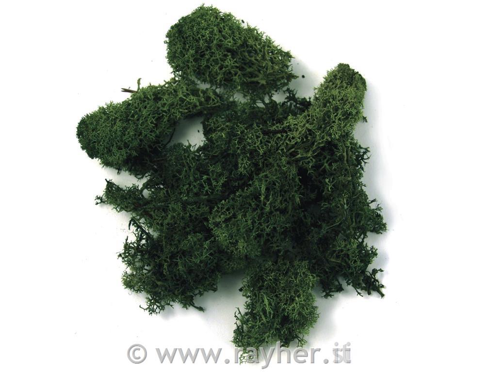 Mah islandski, temno zelen, 100 g