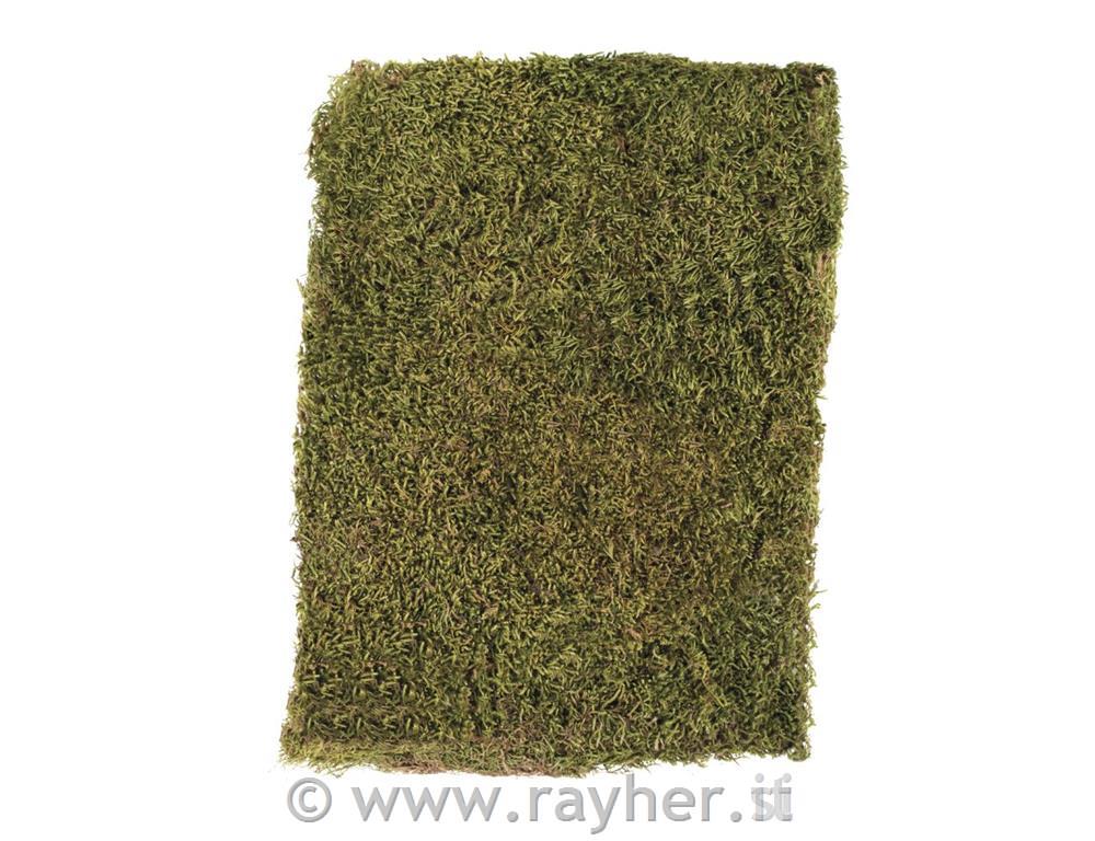 Moss, dried, tab-bag 100 g
