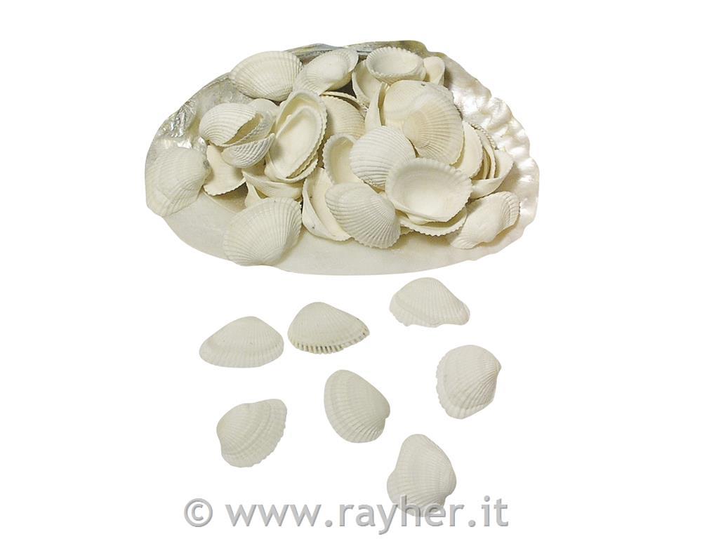 Conchigliein guscio madreperlato