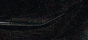 Piume8 cm, bustanero,10 pezzi