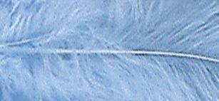 Decorative feathers, light blue, 8 cm, t
