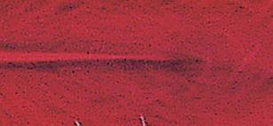 Decorative feathers, red, 8 cm, tab-bag