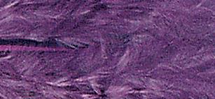 Perje dekorativno, lila, 8 cm, 10 kom.