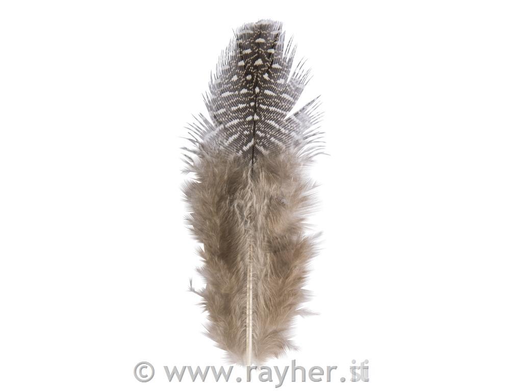 Perje dekorativno, 6 cm, črno/belo, tab-bag 2 g (ca. 40 kom.