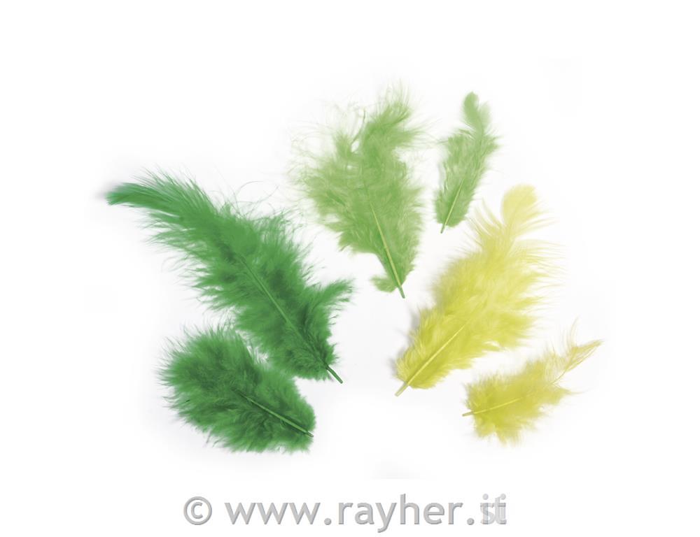 Piume miste3-10 cm, busta 10 gtonalitá-verde