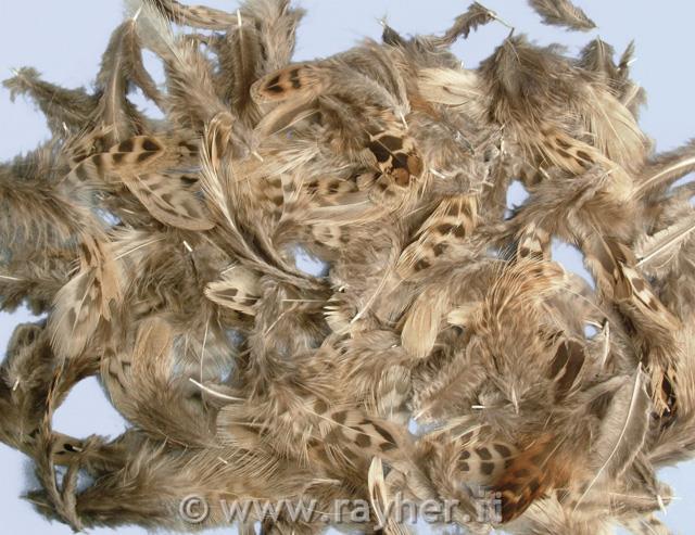 Piume mistePetit-Point, 4-6 cm, busta 10 g