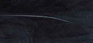 Perje puhasto, črno, 10-15 cm, 15 kom.