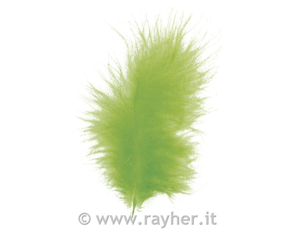 Perje puhasto, svetlo zeleno, 10-15 cm, 15 kom.