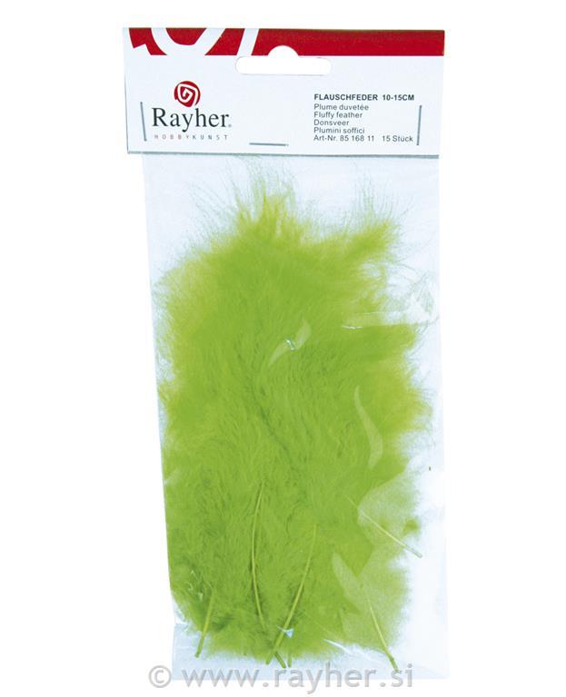 Perje puhasto, svetlo zeleno, 10-15 cm, 15 kom.