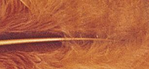 Piumini soffici10-15 cm, busta 15 pzmarrone rossiccio