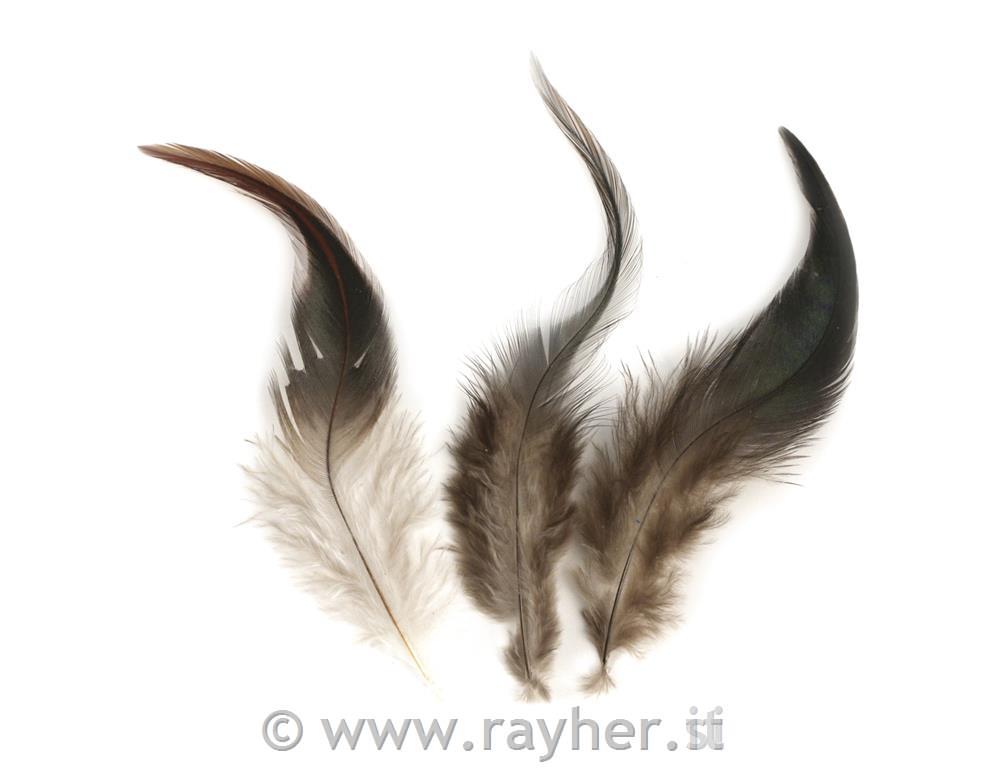 Piume gallo10-15 cm, busta 3 gmarrone scuro