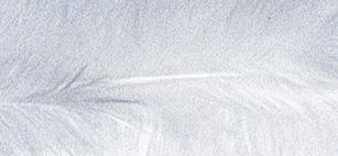 Perje Trendy, belo, 10-15 cm, 2 g