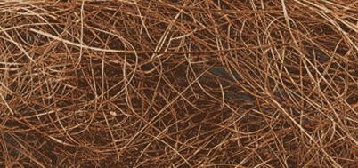 Fili d'erbabusta 20gmarrone scuro