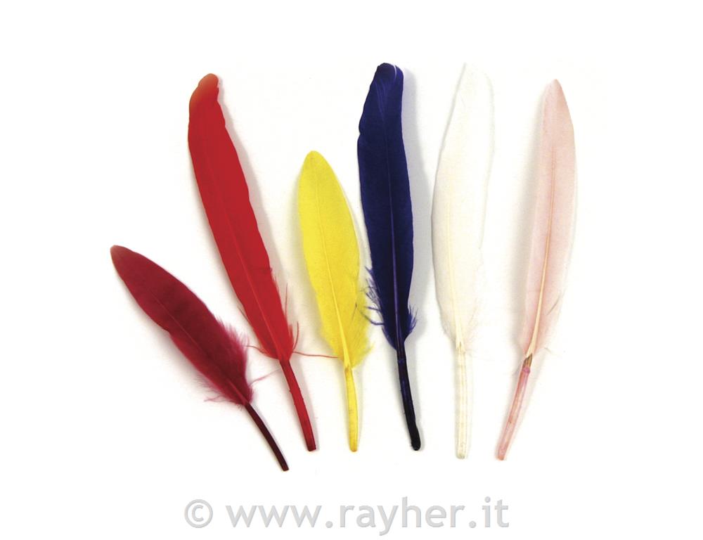 Perje indijansko, mešano, 10,5 cm, 24 kom.