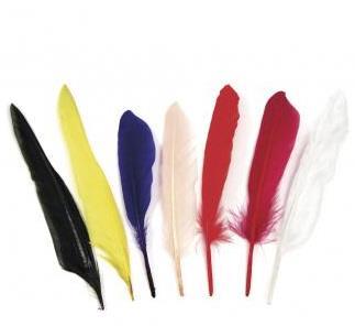 Indian feathers, mixed, 17,5 cm, bag 75