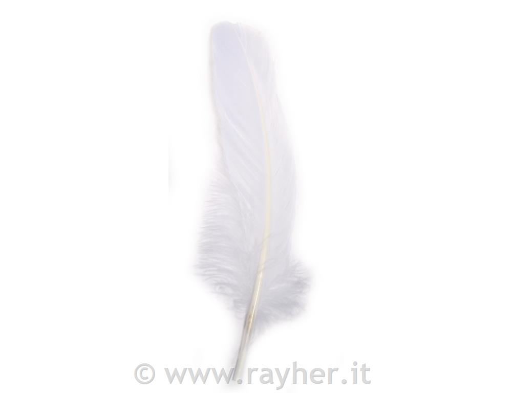 Piuma d'oca16-20 cm, bus.blis. 8 pzbianco