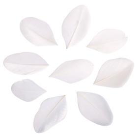 Piume tagliate5-6cm, bus.blis. 36pzbianco