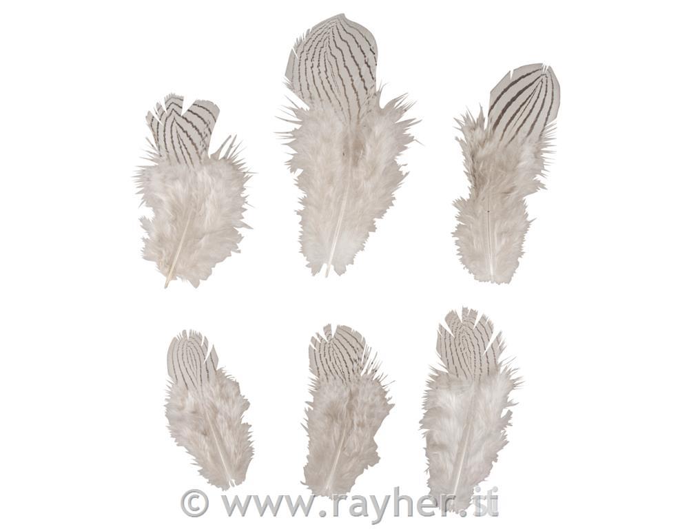 Decorative feathers zebra pattern,8-12cm