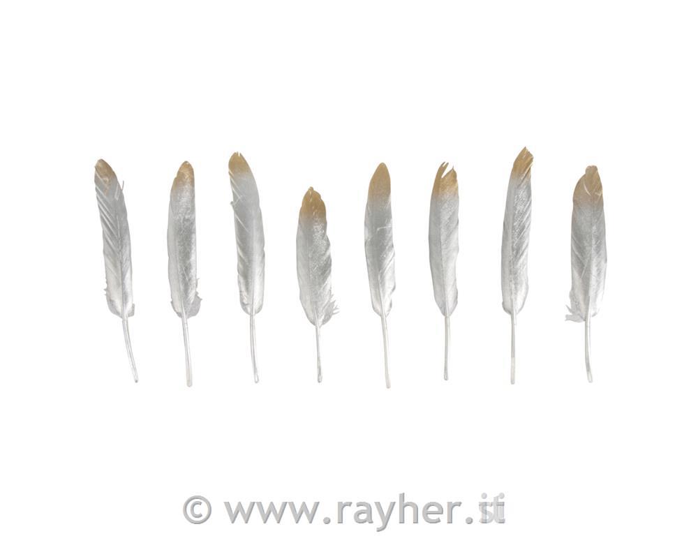 Piuma deco oro/argento12-15cm, bus.blis. 8pz