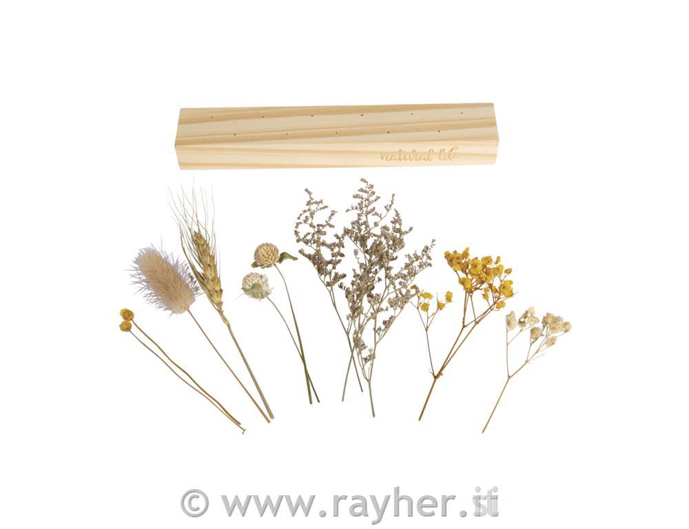 Set creativo, Fiori essiccati