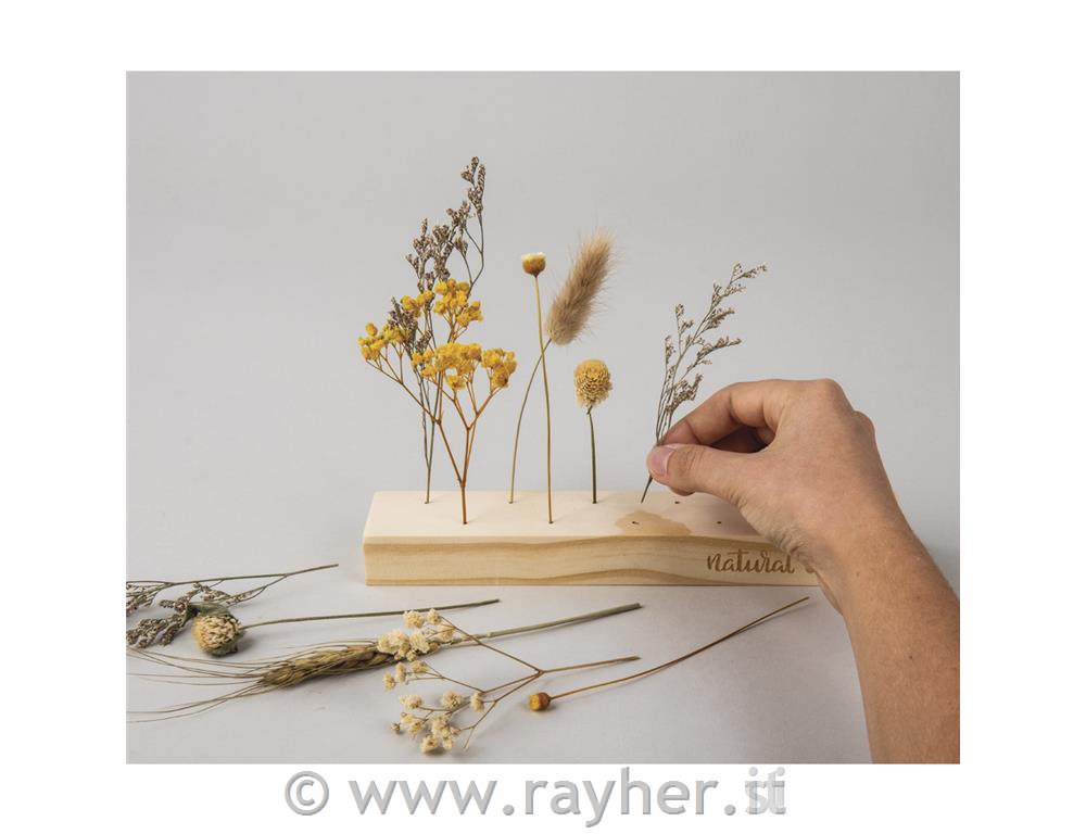 Set creativo, Fiori essiccati