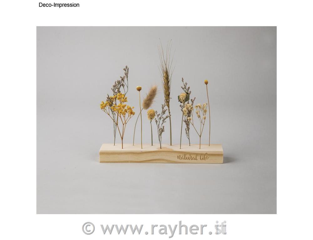 Set creativo, Fiori essiccati