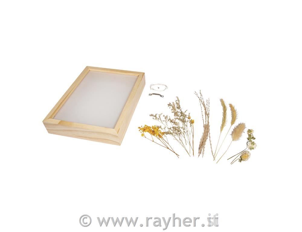 Set creativo, fiori essiccati in cornice