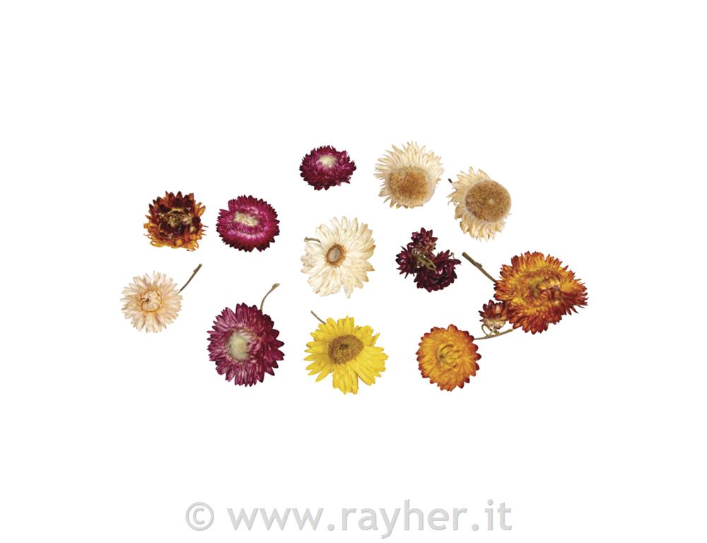 Suho cvetje, sort, 10g