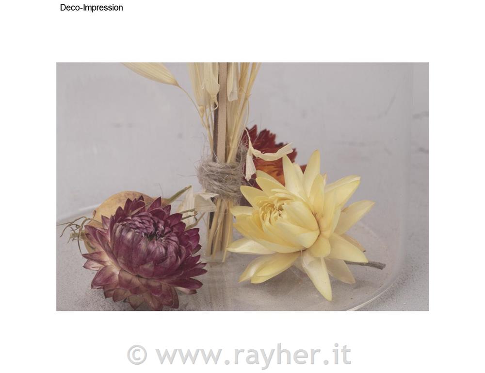 Suho cvetje, sort, 10g