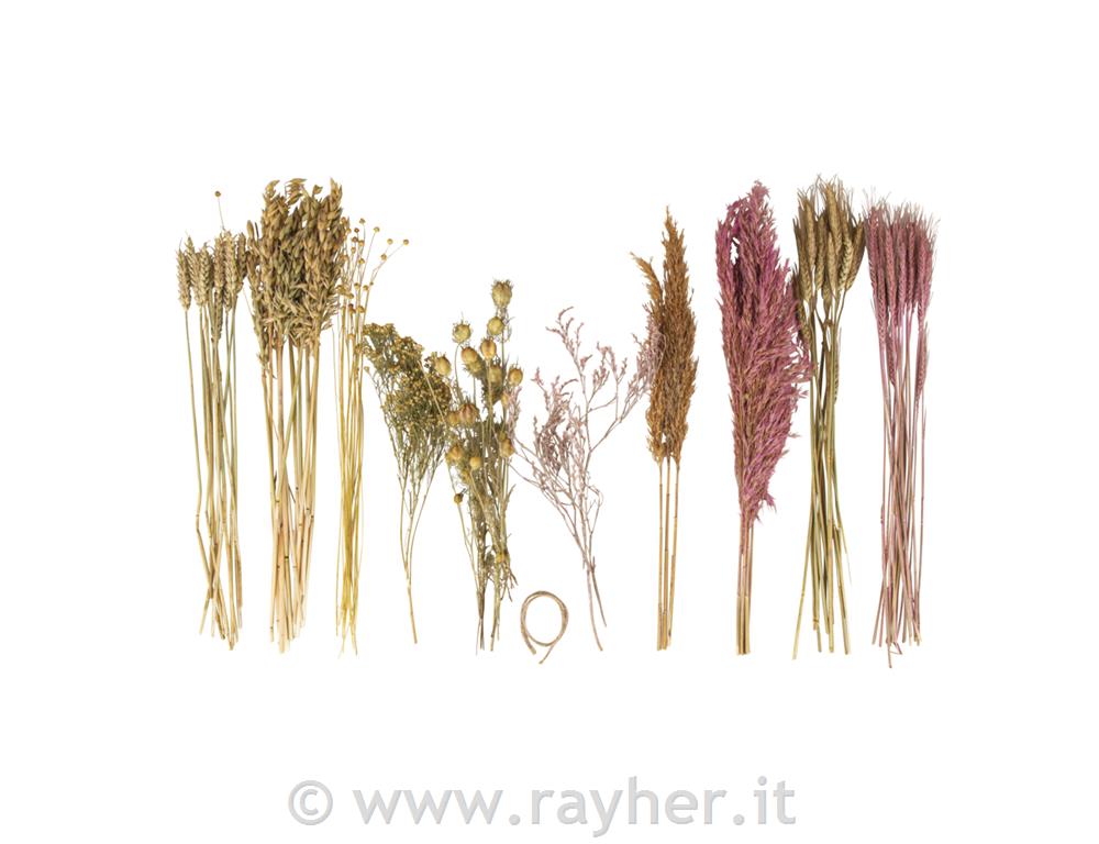 Fiori essiccati, mix, rosa chiaro