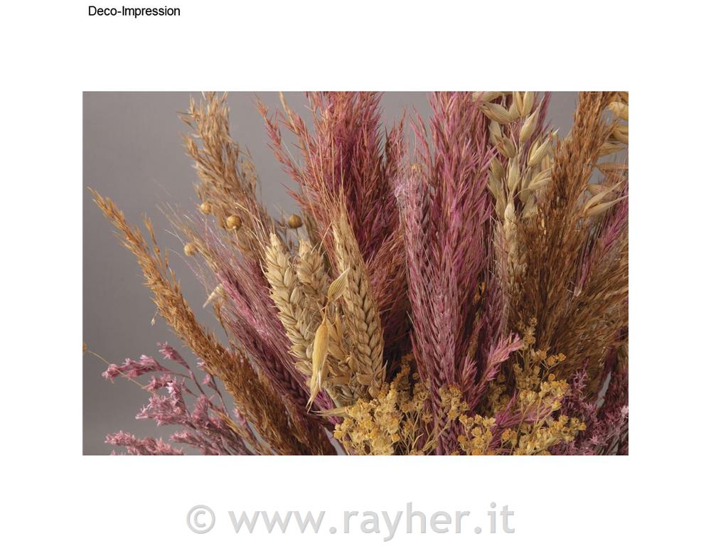 Fiori essiccati, mix, rosa chiaro