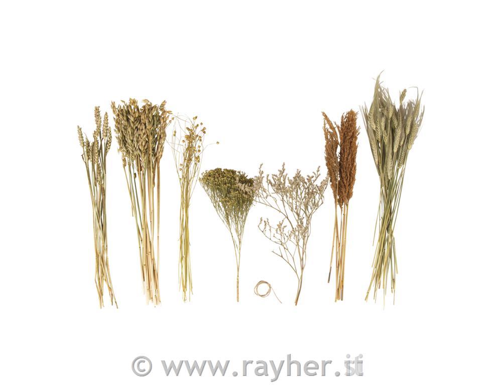 Mešanica suhega cvetja, natur