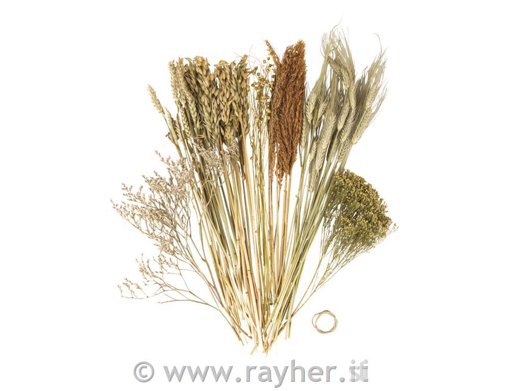 Mešanica suhega cvetja, natur