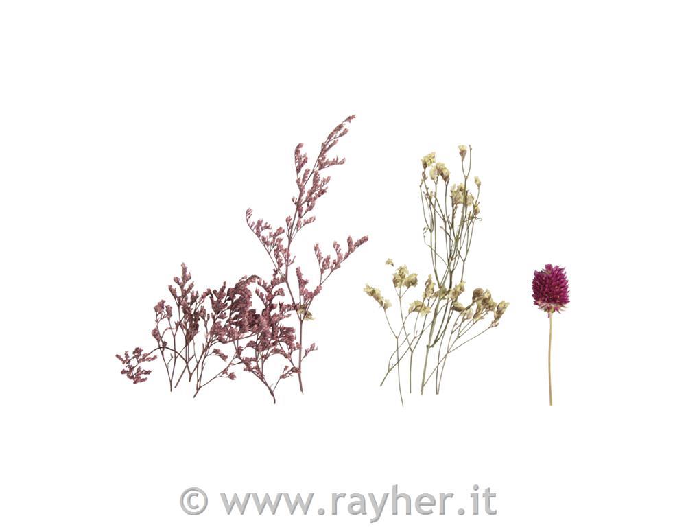 Mešanica suhega cvetja, nežno roza