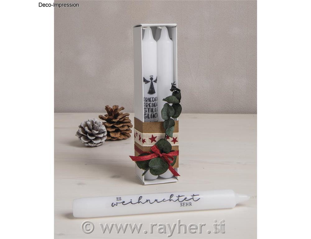 Bouquet di eucalipti 30-35 cm