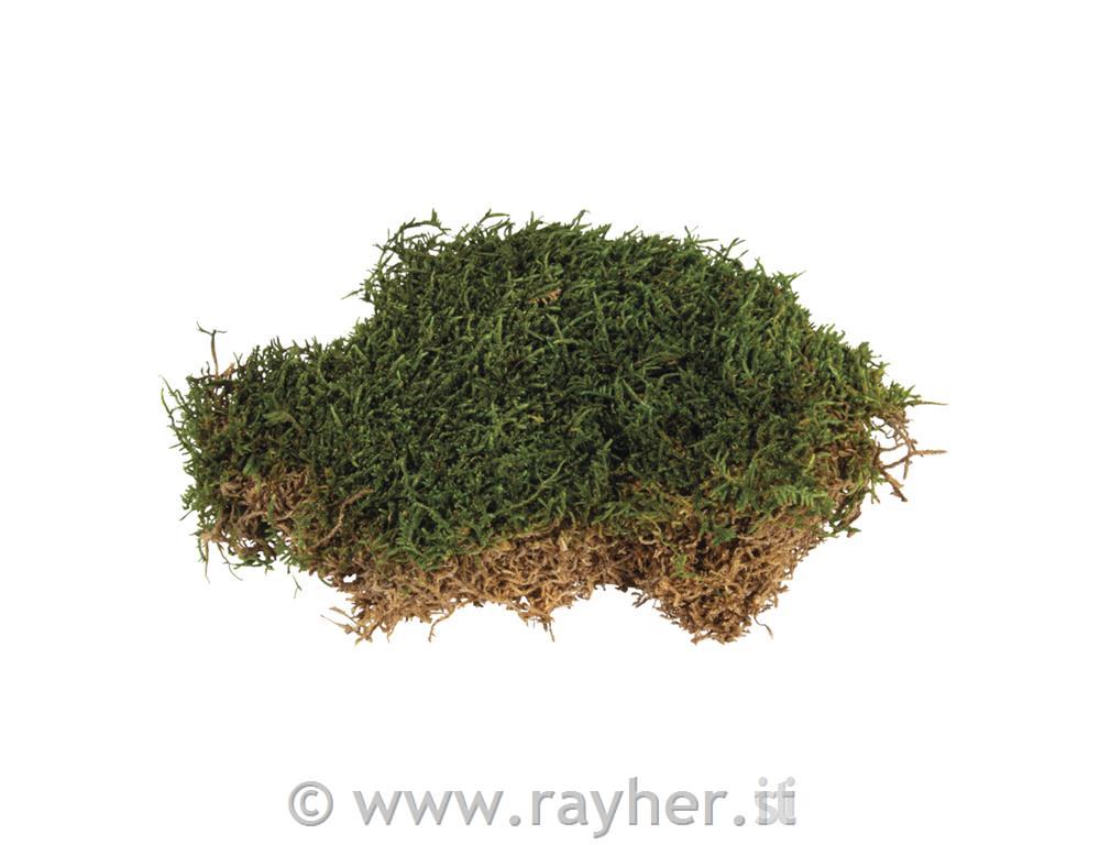 Mah, prečiščen, 30g