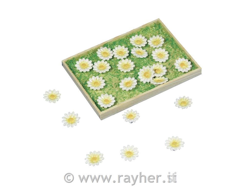 Bocciolo Daisy di poliresina1,5 cm, box 16 pz