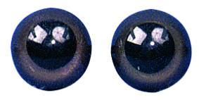 Plastic animals' eyes to stick on, dark