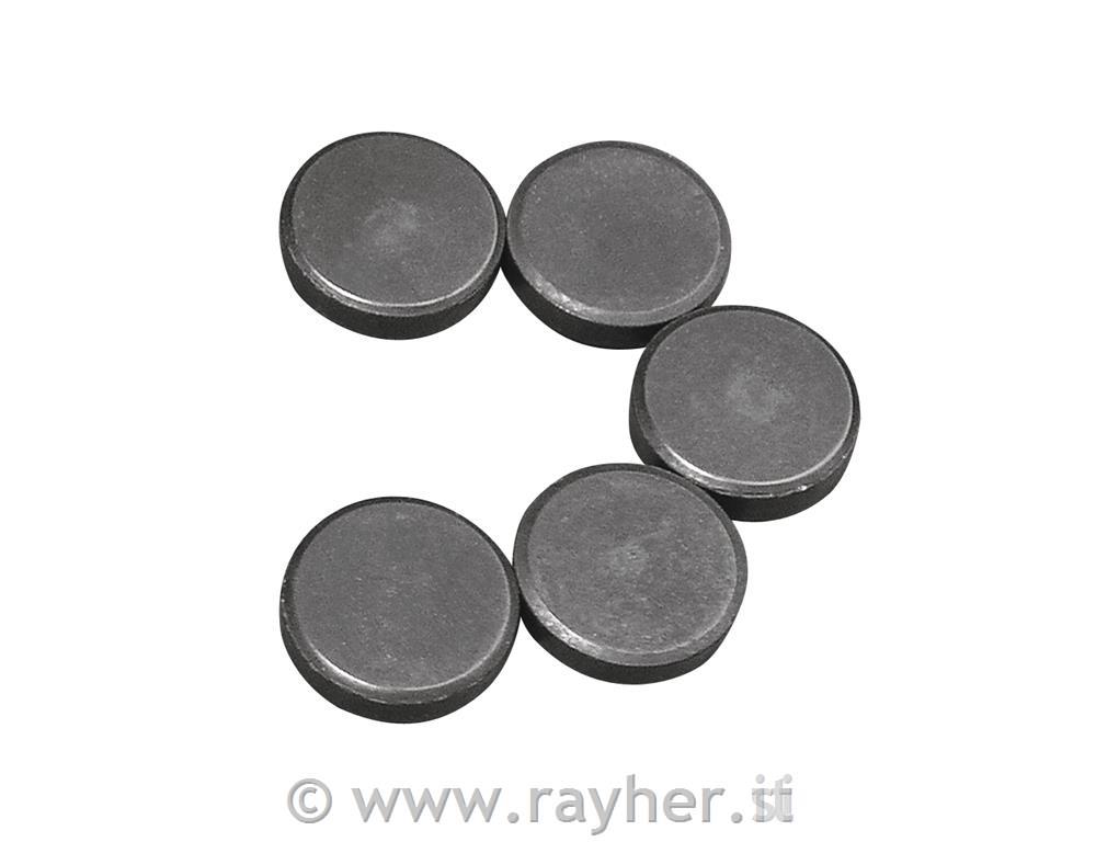 Magneti, 20 mm o debelina 5 mm, 5 kom.
