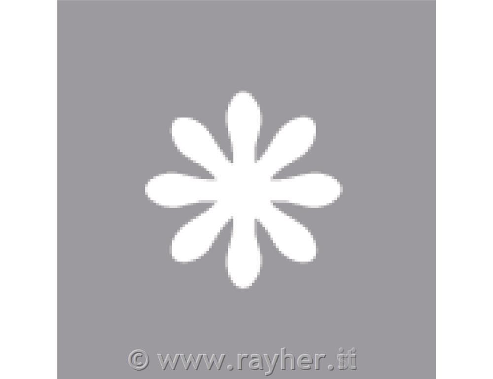 Luknjač, marjetica, 1,6cm o