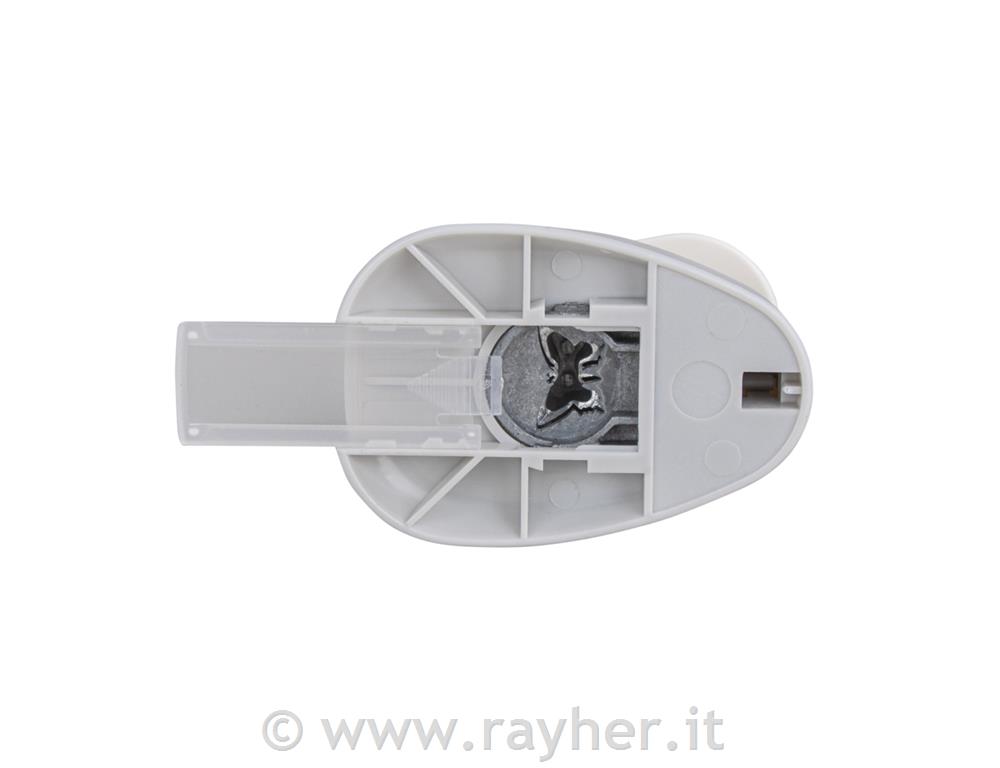 Luknjač, metulj, 1,6cm o