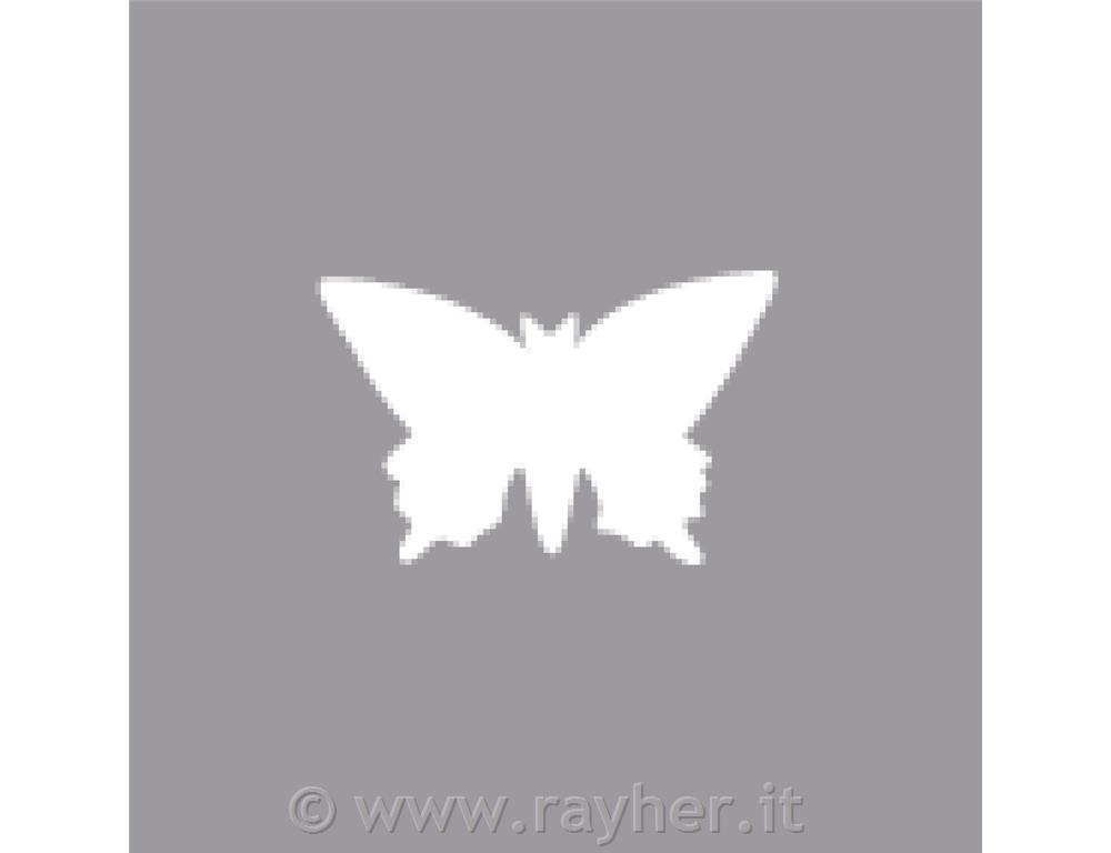 Luknjač, metulj, 1,6cm o