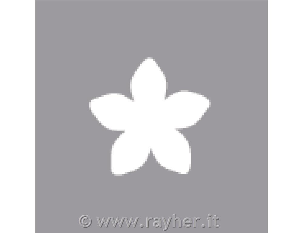 Luknjač, cvet, 1,6cm o