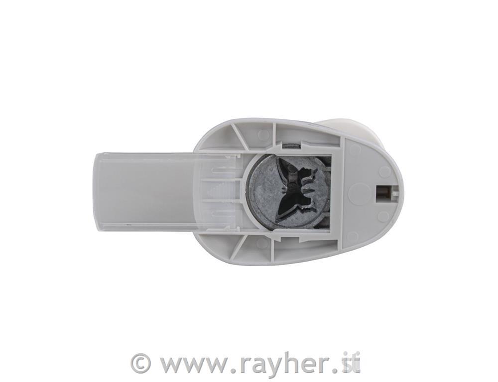 Luknjač, metulj, 2,54cm