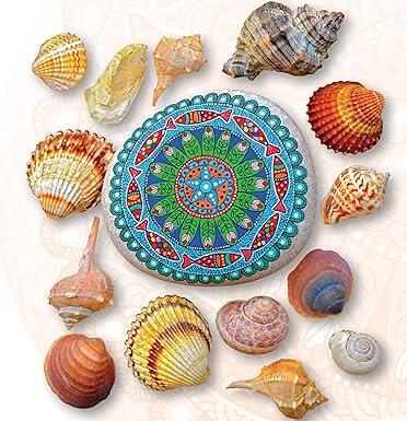 Libro A Year of Stone Painting