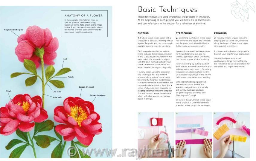 Libro Knjiga Crepe Paper Blooms, Bugs &Butterflies