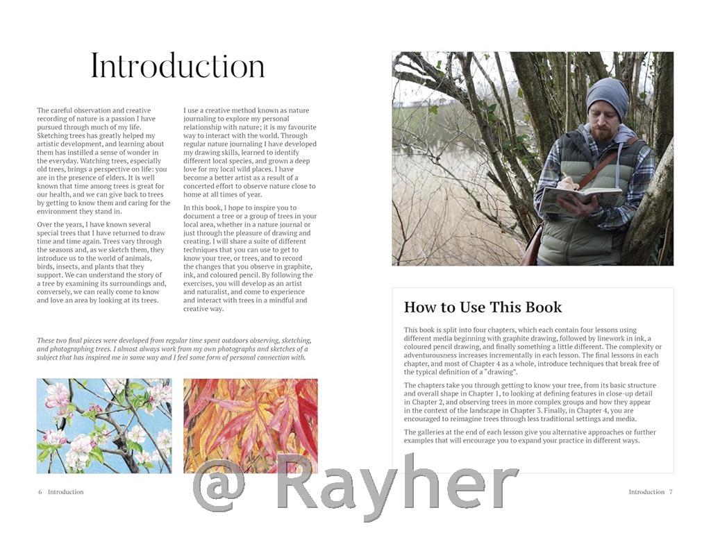 Libro How to Draw a Tree: From the Fruit to the Forest