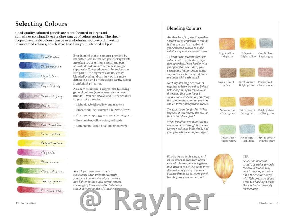 Libro How to Draw a Tree: From the Fruit to the Forest