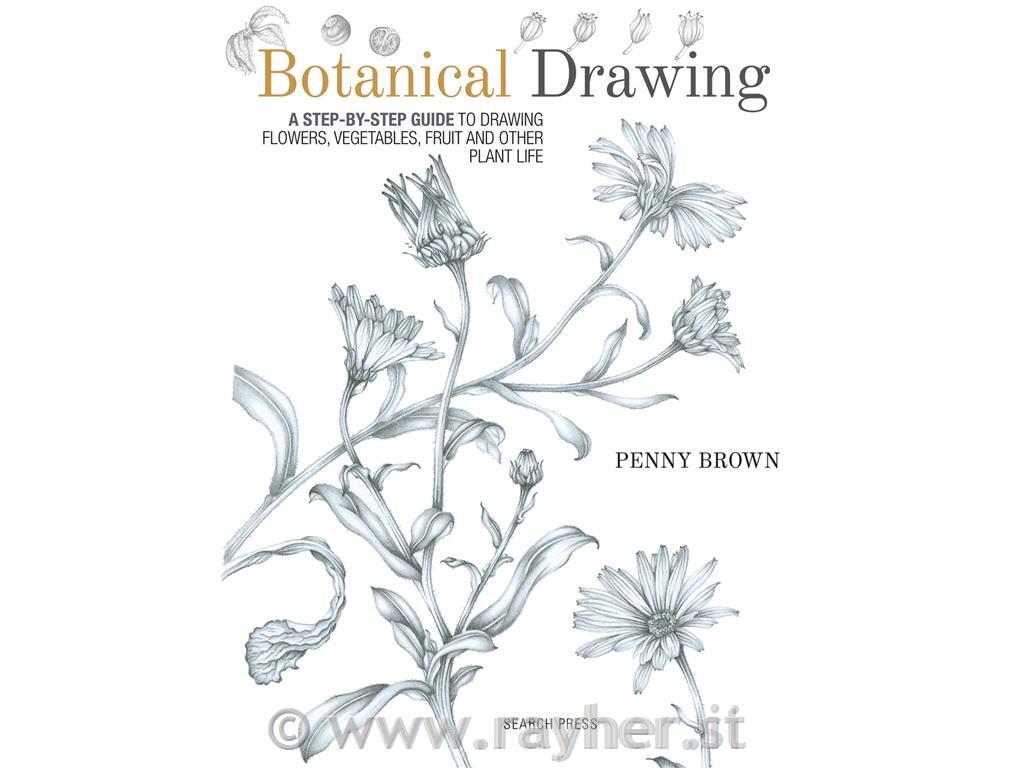 LIBRO BOTANICAL DRAWING